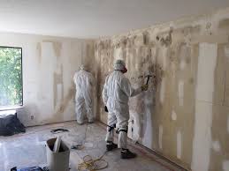 Forensic Mold Investigation in Robstown, TX